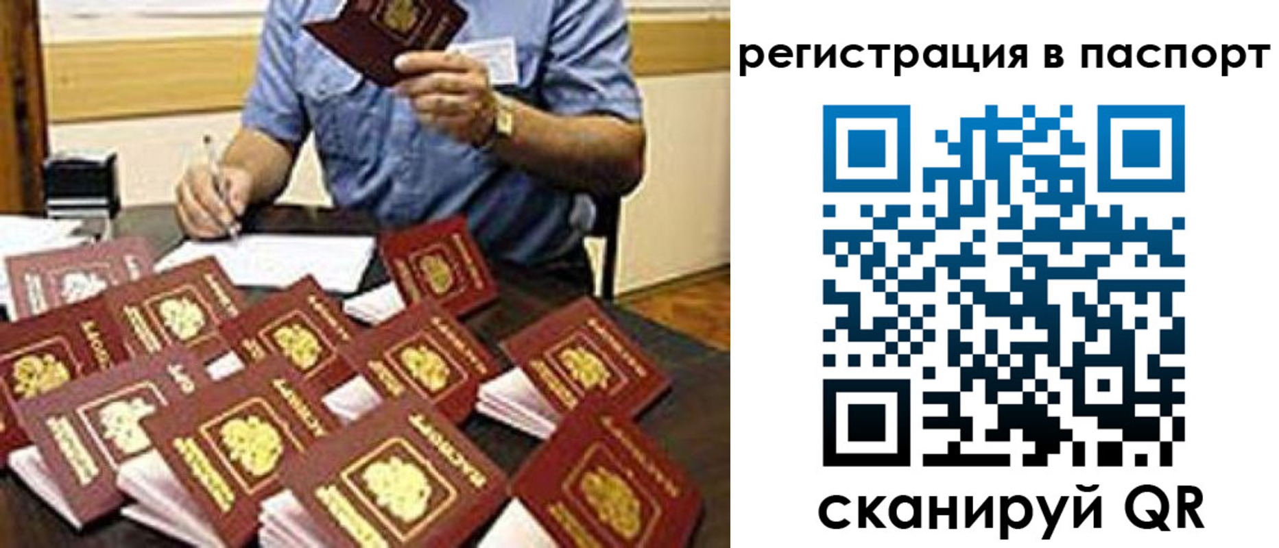 временная регистрация поиск в Тайге